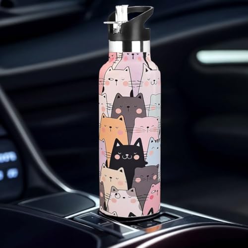 Cat Water Bottle Adult Kids With Straw Lid Insulated Stainless Steel Travel Mugs for Sport Gym Outdoor 20oz