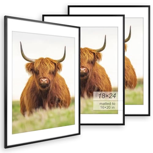 Golden State Art 18x24 Picture Frame Set of 3 - Black Thin Border - Display Photo 16x20 with Mat or 18x24 Without Mat - Po...