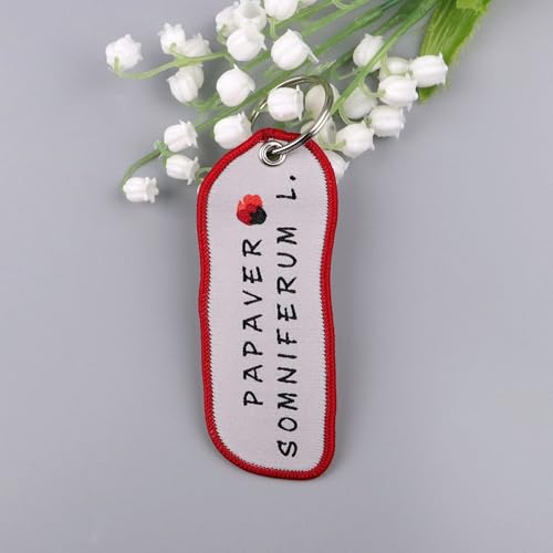 Ywmsfl Adorable Floral Embroidered Keyring Cloth Textile Holder Decorative Item for Students Everyday Use Decorative Bag C...
