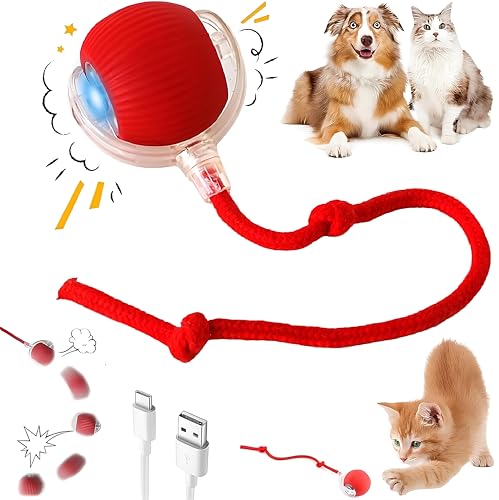 Purrmitive 2026 Durable Interactive Cat Toys for Indoor Cats, Dog Toys Ball, Rolling Pet Ball, Smart Automatic Cat Chase B...