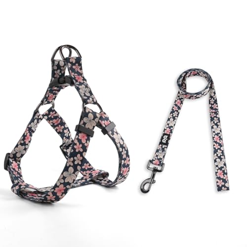QQPETS Dog Harness Leash Set Adjustable Heavy Duty No Pull Halter Harnesses for Small Medium Large Breed Dogs Back Clip An...