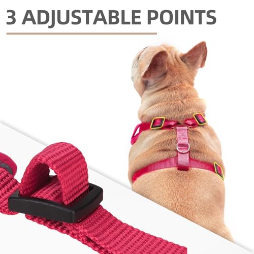 PUPTECK Small Dog Harness and Leash Set, No Pull Adjustable Puppy Cat Harness, Reflective Soft Mesh Pet Vest Small Sized, ...