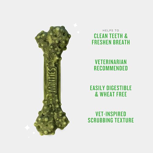 Minties Dog Dental Bone Treats, Tiny/Small Dental Dog Treats, 16 Ounces, Cleans Teeth, Fight Bad Breath, Removes Plaque an...