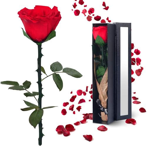 YAMPP Preserved Flowers Gifts for Women: Valentines Day Mothers Day Birthday Christmas Anniversary Wedding Gift for Mom Gi...