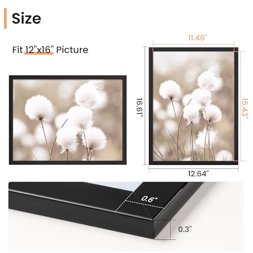 Venusmiles 12x16 Picture Frame, Display 12x16 Photo Frames - High Definition Plexiglass - Vertical and Horizontal Display...