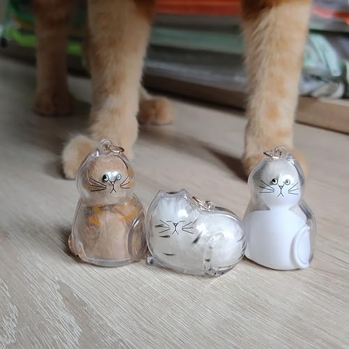BTYYIHEX 6 Pcs Cat Hair Keepsake Keychains – 2025 New Memorial Capsule Pendants, Fur Holder Bottles for Cat Lovers, Though...