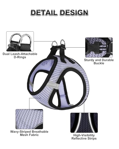 VernAlly Dog Harness Small Sized and Leash Set, Step in Soft Light Puppy Vest, Breathable Mesh Pet Harness Suitable for Pu...