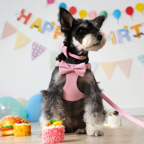 Beirui Adorable Small Dog Harness Collar Leash Set,Cute Puppy Harness with 3 Bows for XS Dogs,Yorkie,Adjustable Step-in Ve...