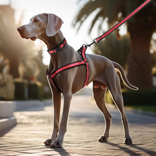Mile High Life Night Reflective Double Adjustable Band Nylon Small Puppy Pet Dog Combo Collar Leash and Harness Set (Refle...