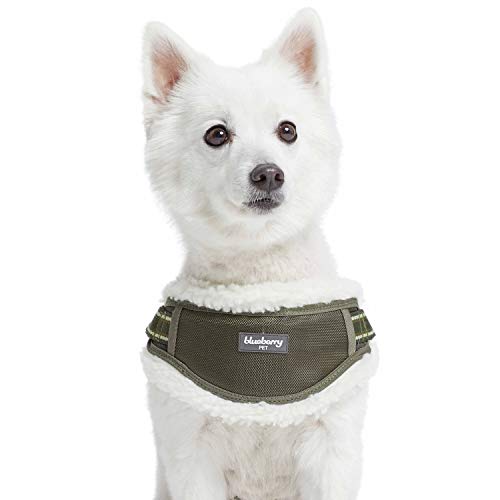 Blueberry Pet Soft & Comfy Multi-Colored Stripe Fleece Padded Chest Dog Harness, Chest Girth 16.5" - 21", Olive Green, Sma...
