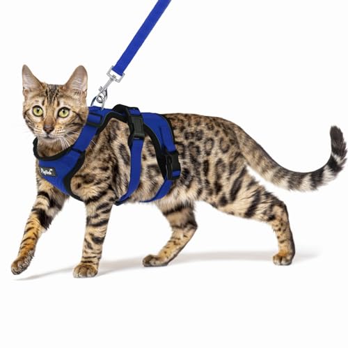 PUPTECK Cat Harness and Leash Set Escape Proof for Walking, Breathable Mash Vest Adjustable Harness for Cats Puppy Small A...