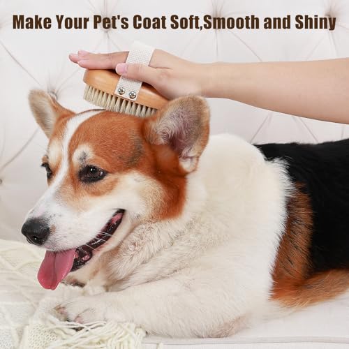 Soft Boar Bristle Pet Palm Brush for Short Haired Dogs and Cats with Band, Reduce Shedding, Ergonomic Dog Brush, Easy to H...