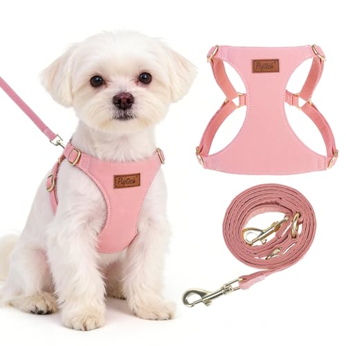 PUPTECK Dog Harness and Leash Set Small Sized, Lightweight Step-in Puppy Harness, Escape Proof No Pull Cute Pet Vest Harne...