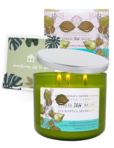 Eucalyptus Spearmint Scented Candle | 15.8 oz Large 3 Wick Soy Candle | Soothing Aromatherapy Candle for Home | Fresh Spa ...