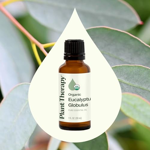 Plant Therapy Organic Eucalyptus Globulus Essential Oils 30 mL (1 oz), 100% Pure, USDA Certified Organic, Undiluted, Natur...