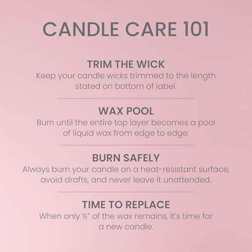 Yankee Candle Vanilla Cupcake, Scented Candle, 14.5oz 3-Wick Candle Jar with up to 40 Hours Burn Time, Giftable