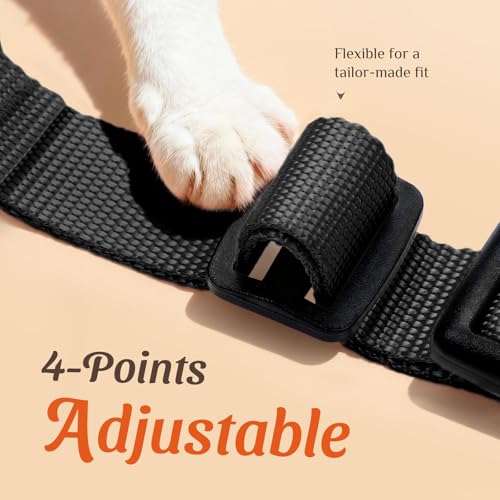 Dooradar Cat Harness and Leash Set, Escape Proof Safe Adjustable Kitten Vest Harnesses for Walking, Easy Control Soft Brea...