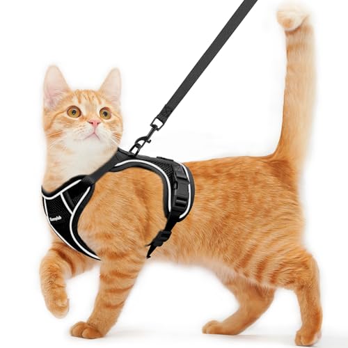 Cat Harness and Leash for Walking Escape Proof Soft Adjustable Cat Leash Breathable Comfortable Vest Easy to Wear Kitten H...