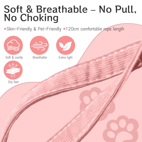Cat Harness and Leash Set - Escape Proof Adjustable Soft Vest for Cats, Breathable Comfortable Kitten Harness for Outdoor ...