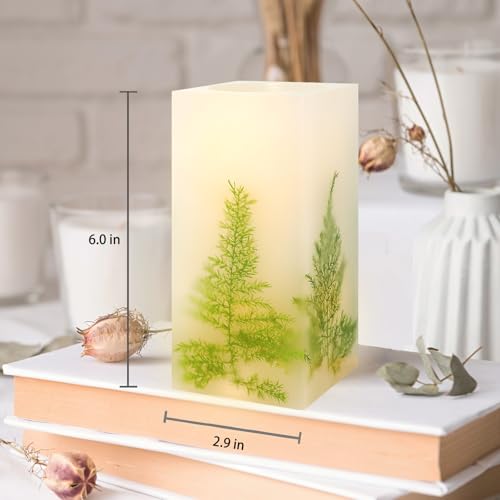 Holitown LED Flickering Flameless Real Wax Ivory Square Pillar Candle Artificial Asparagus Fern Battery Operated with Time...