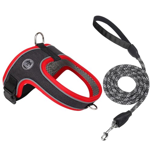 Dog Harness and Leash Set, No Pull Saddle Style Pet Harness, Breathable Mesh Adjustable Reflective Dog Vest for Dogs and C...