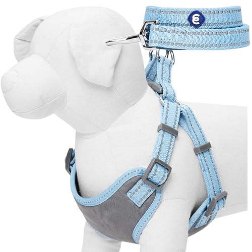 Blueberry Pet Matching Reflective Harness and Leash Set | Adjustable Pastel Vest with Lead for Dogs – Great Value Gift Set...