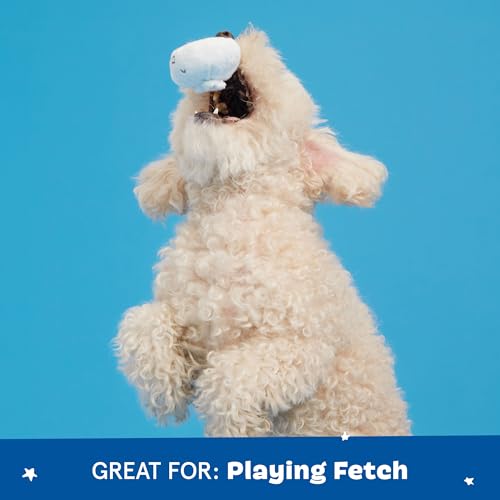 Barkbox Dog Toy 2 in 1 Interactive, Plush Exterior Material & Squeaker, Tearable Dog Toy with Squeaky Ball Inside, Ideal f...