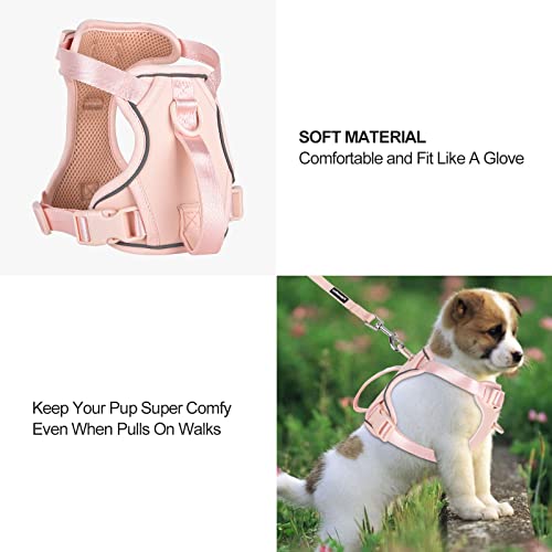 Petmolico Dog Harness for Small Dogs, Cute Harness Vest with Two Leash Clips and Soft Handle, Reflective Easy Walk Puppy V...