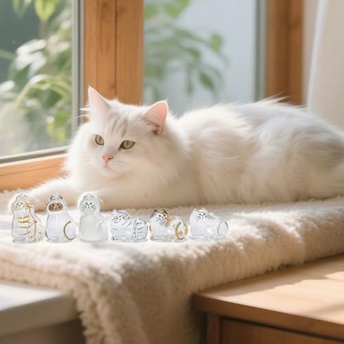 Pet Fur Memorial Keychain-Transparent cat Hair Keychain,Pendant for Cat & Dog Hair Collection -Animal Lovers Keepsake Gift