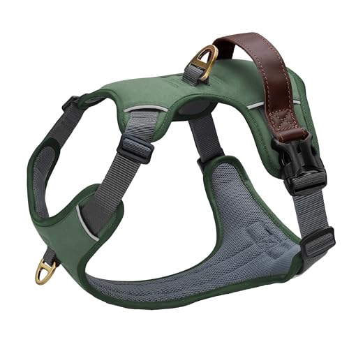 Didog No Pull Dog Harness Small Sized Dog,Classic PU Leather Vest for Small Dogs with Easy Control Handle,No Choke Front C...