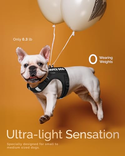 FAYOGOO Service Dog Vest for Small Dogs - Air Mesh Breathble Emotional Support Animal Vest with Velcro Patches - Puppy Har...