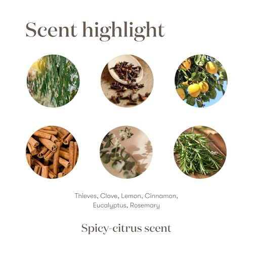 Thieves 5ml Essential Oil by Young Living Essential Oils