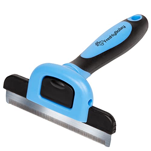 Freshly Bailey Deshedding Brush for Short Haired Dogs & Cats - Cat and Dog Brush for Shedding Short Hair - Highly Effectiv...