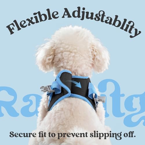 rabbitgoo Dog Harness Small Sized and Leash Set, Step-in Breathable Pet Harness, Soft Walking Reflective Puppy Vest for Sm...