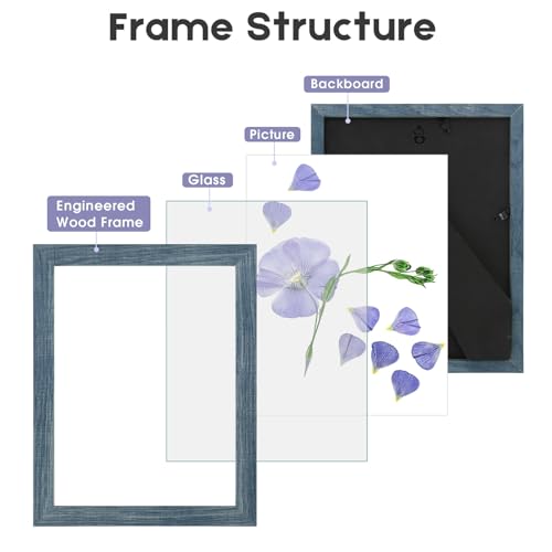 Frametory, 8.5x11 Picture Frame with Glass, Tabletop & Wall Horizontal or Vertical Display, 8 1/2 x 11 Photo Frame for Dip...
