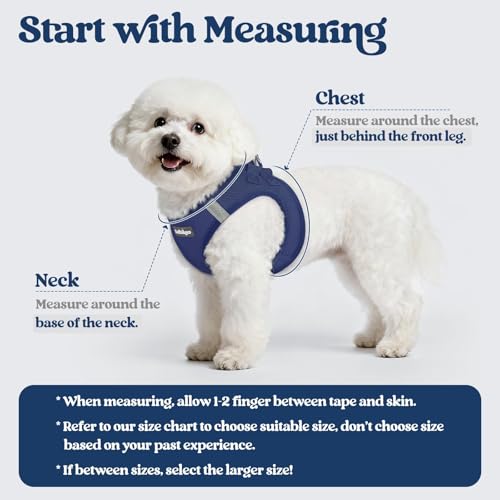 rabbitgoo Dog Harness Small Sized and Leash Set, Step in Soft Light Puppy Vest, Breathable Mesh Pet Harness, Reflective fo...