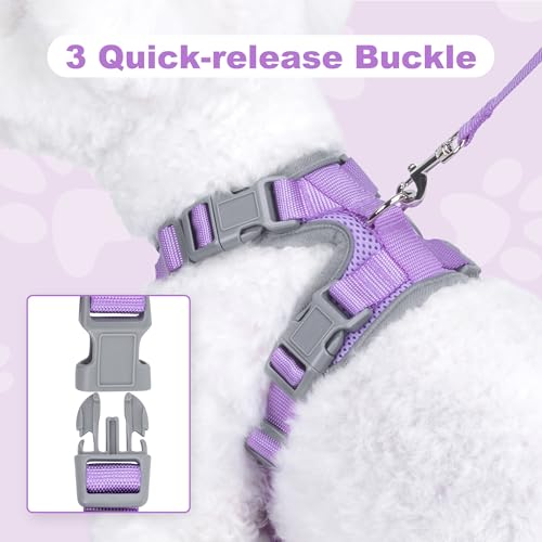 HIMNESEYO Small Dog Harness and Leash Set，No Pull Adjustable Pet Harness for Small Dogs ，Breathable Mesh Reflective Dog Ve...