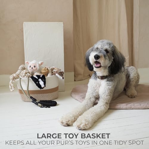 Stylish Cotton Rope Storage Basket For Dog Toys, Magazines or Books - The Perfect Woven Bin with Handles For Everyday Orga...