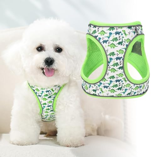 Step in Dog Harness and Leash Set, Flower Adjustable Easy Walk Puppy Harnesses, Soft Mesh Pet Vest Harness Small Size Dog ...
