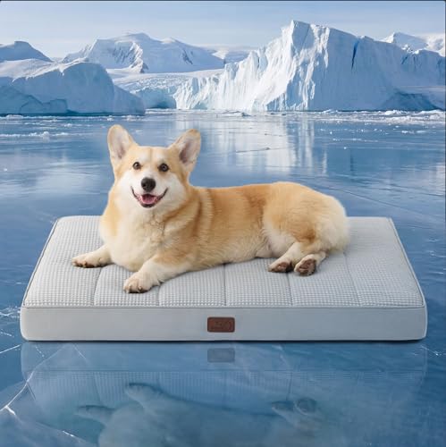 Bedsure Orthopedic Cooling Dog Bed for Crate - 35x22 Inches Large Comfy Breathable Summer Beds with Removable Washable Cov...