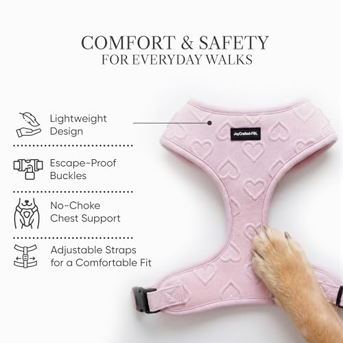 JoyCrafted-FBL No Pull Dog Harness & Leash Set | Lightweight Breathable Neoprene, Cute Heart Pattern, Adjustable Step-In V...