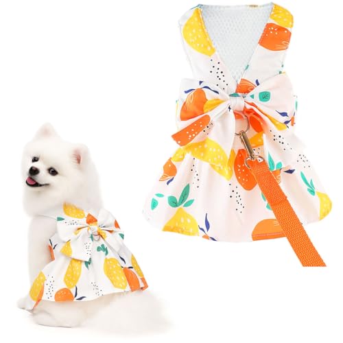 Small Dog Harness Dress Cat Princess Dresses Summer Lemon Clothes for Pet Female Puppy Outfit Cute Bow Tie Leash Set for S...
