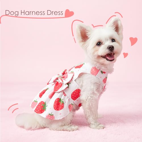 BAOBICUTE Dog Dress Harness Dresses Leash Set for Small Dogs Cute Girl Dog Clothes with Bowknot Puppy Outfits for Shih Tzu...