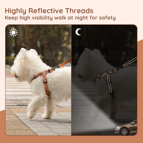 BELLA & PAL Adjustable Step-in Dog Harness, Puppy No-Pull Vest with Leash Set for XS/Small & Medium Dog, Breathable All-We...