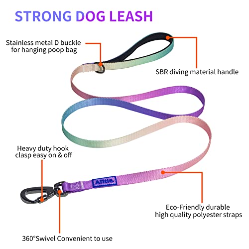 AIITLE No Pull Dog Harness & Leash & Collar - Adjustable Basic Collar with A Heavy Duty Leash - Super Sturdy Buckle and D ...