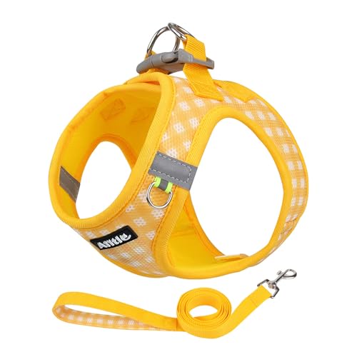 AIITLE No Pull Dog Harness and Leash Set, Step in No Chock Soft Mesh Dog Harnesses Reflective for Extra-Small Puppy Dogs a...