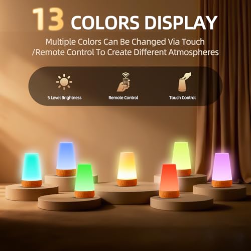 ZWOTNDT Night Light, Dimmable Touch Lamp and Remote Control, 13 RGB Colors & 5 Brightness, Rechargeable Bedside Table Lamp...