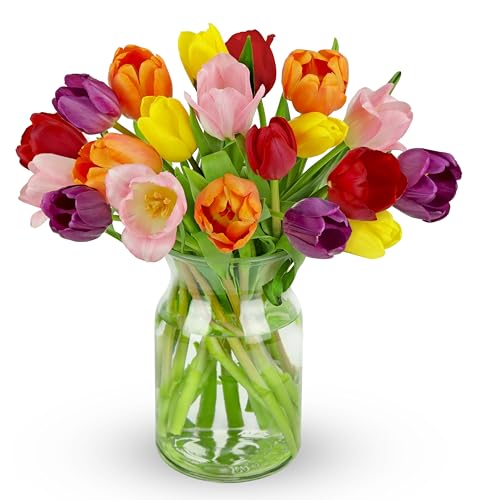 Benchmark Bouquets - Rainbow Tulips - Fresh Flowers for Delivery - Mothers Day Flowers for Mom - Mothers Day Gifts - Birth...