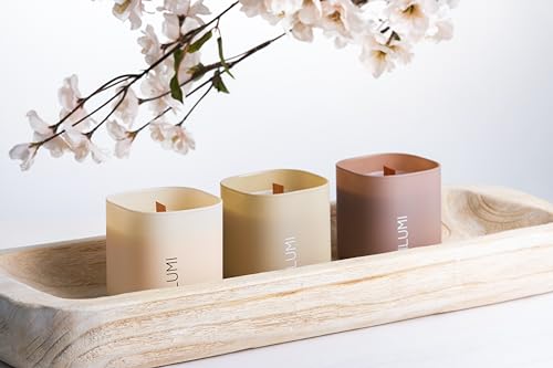 Set of 3 Premium Scented Soy Candles Gift Set | Nature's Bloom Collection - Gardenia, Hilton Garden and Rose & Oud | Crack...