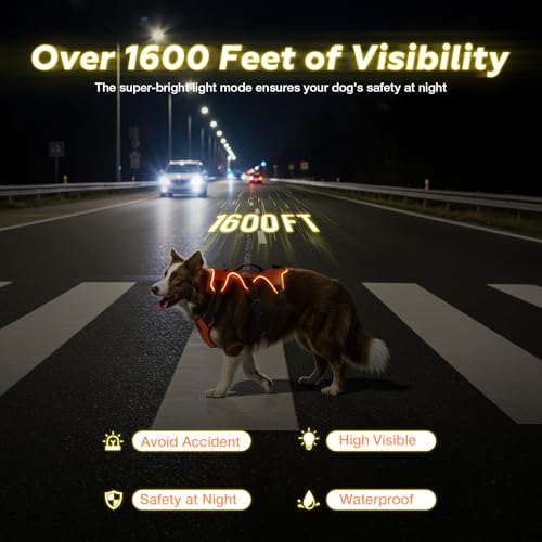Fiveda Light Up Dog Harness LED Dog Vest - USB-C Rechargeable RGB 9-LED, Slow/Fast Rainbow Modes, Reflective No-Pull Harne...